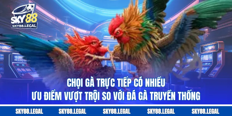 Chọi gà trực tiếp có nhiều ưu điểm vượt trội so với đá gà truyền thống