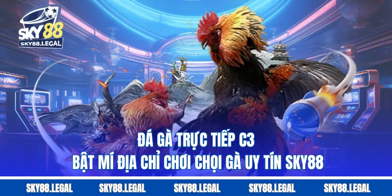 Đá Gà Trực Tiếp C3 - Bật Mí Địa Chỉ Chơi Chọi Gà Uy Tín SKY88
