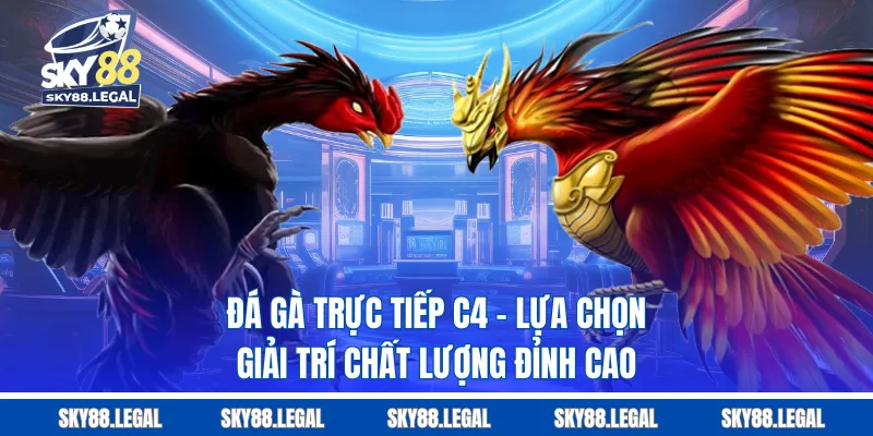 Đá gà trực tiếp C4 - lựa chọn giải trí chất lượng đỉnh cao