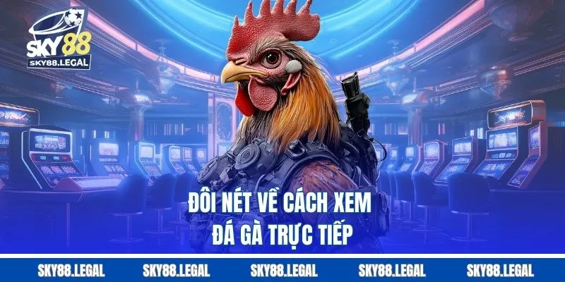 Đôi nét về cách xem đá gà trực tiếp