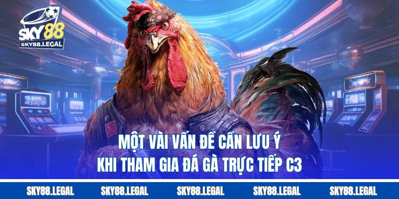 Một vài vấn đề cần lưu ý khi tham gia đá gà trực tiếp C3
