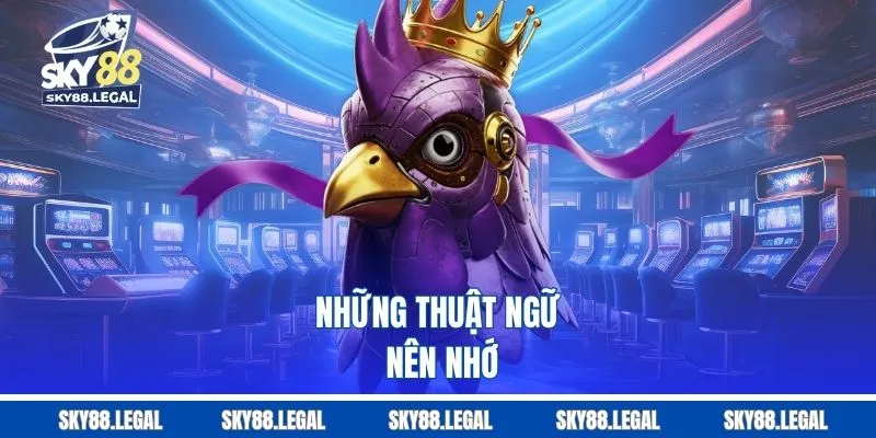 Những thuật ngữ nên nhớ