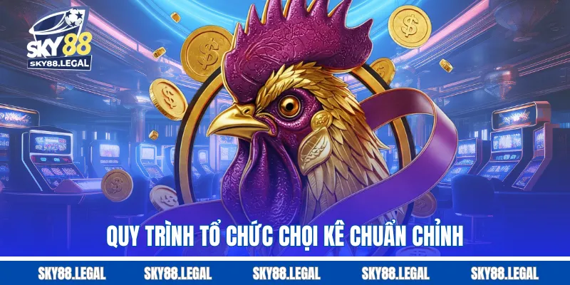 Quy trình tổ chức chọi kê chuẩn chỉnh