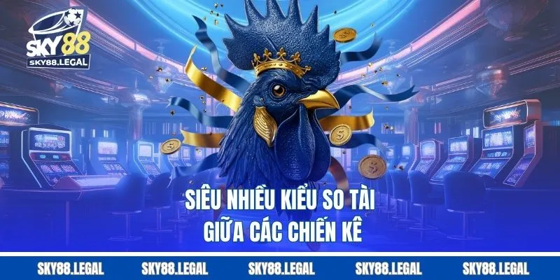 Siêu nhiều kiểu so tài giữa các chiến kê 