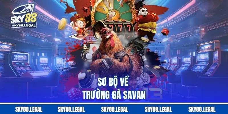 Sơ bộ về trường gà Savan