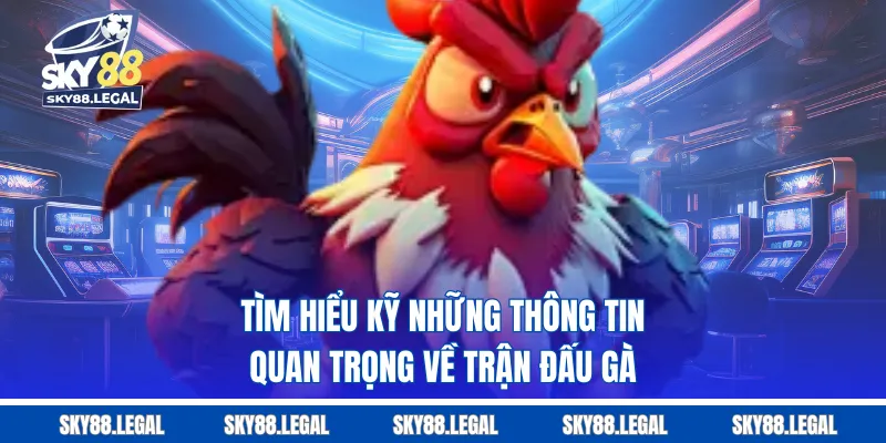 Tìm hiểu kỹ những thông tin quan trọng về trận đấu gà