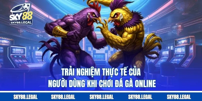 Trải nghiệm thực tế của người dùng khi chơi đá gà online