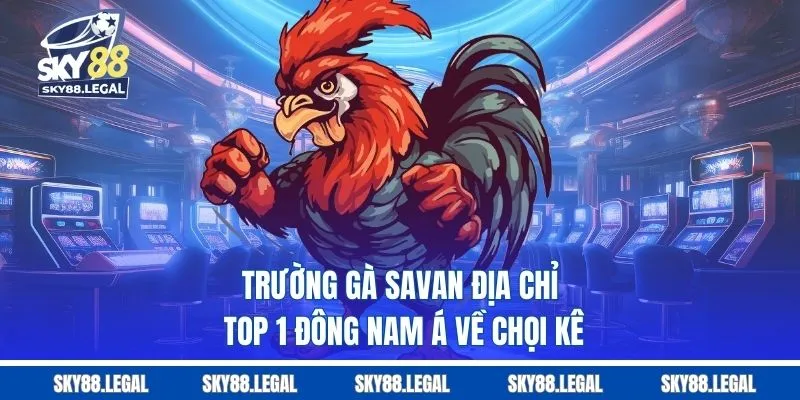 Trường Gà Savan - Địa Chỉ Top 1 Đông Nam Á Về Chọi Kê