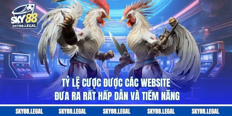 Tỷ lệ cược được các website đưa ra rất hấp dẫn và tiềm năng